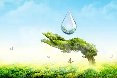 Stylized Tree and Water Droplet